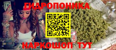 а пвп мука Можга