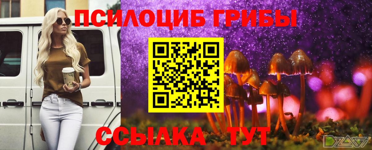 Галлюциногенные грибы прущие грибы  Вход с VPN  Унеча 