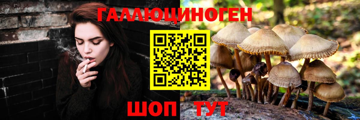 Гашиш  КОКАИН  A PVP СК   Унеча  Бошки Шишки  Меф   Вход с VPN 